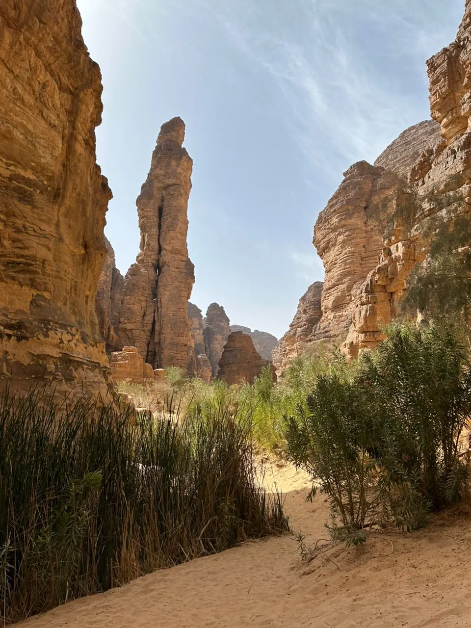 Aiguille de grès et végétation dans un canyon, sur le chemin de l'oasis
