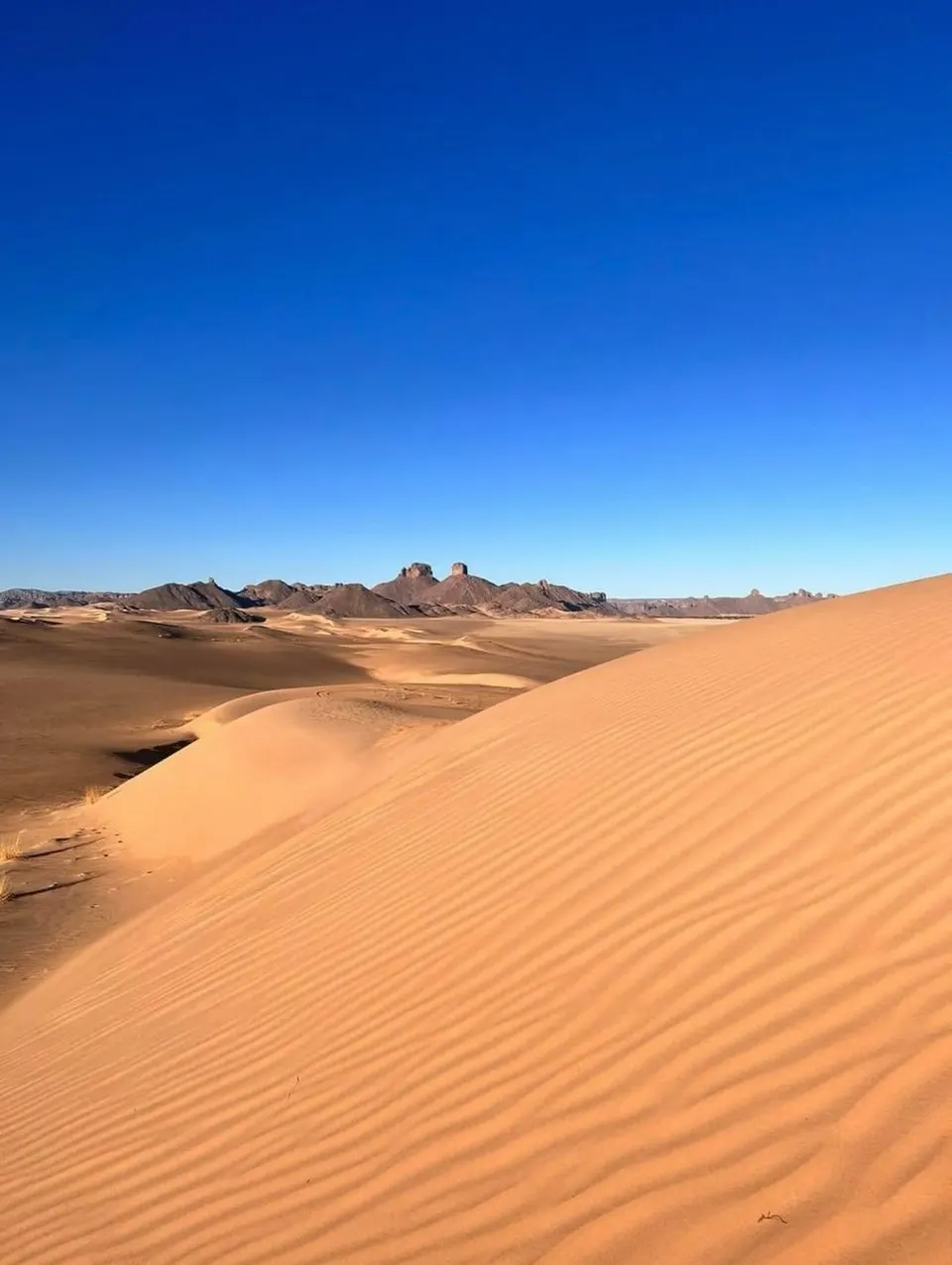Crête de dune ridée par le vent dans l'Erg Admer, sommets rocheux à l'horizon