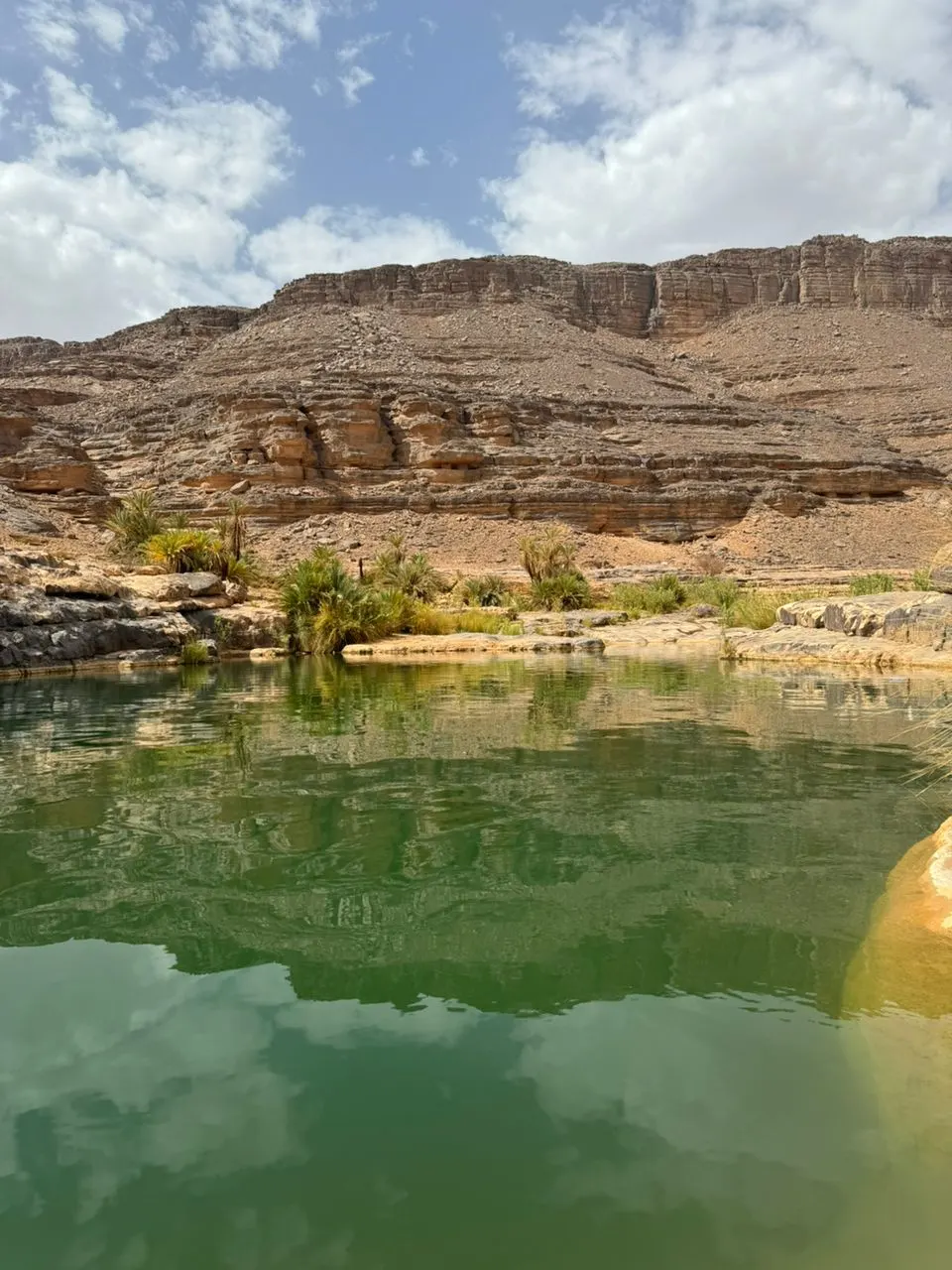 Guelta d'Ihrir : eau verte et palmiers au pied des falaises