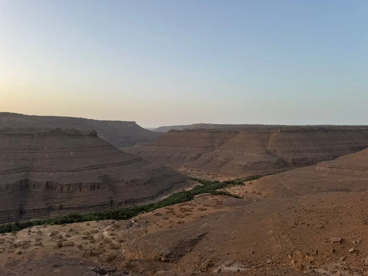 La vallée d'Ihrir vue d'en haut, ruban de palmiers au fond du canyon